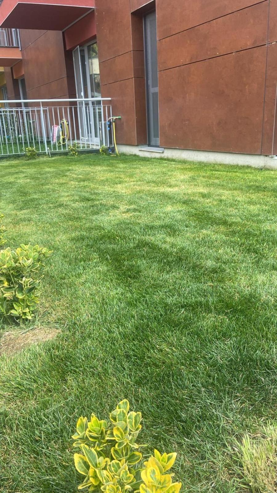 סינאיה Dream Garden Apartment With Free Parking מראה חיצוני תמונה